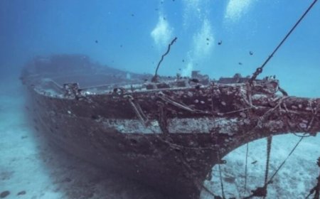 المعهد الأوروبي للآثار البحرية: اكتشاف حطام سفينة مصرية عمرها 2000 عام تحت المياه قبالة سواحل الإسكندرية