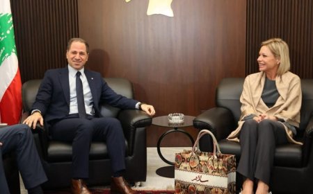 سبل دعم الجيش بين الجميل  بلاسخارت