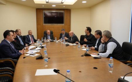 فريد البستاني: أرفض مسودة الحكومة لأنها مجحفة بحق المودعين