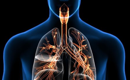 لتعزيز  وظائف الجهاز التنفسي.. هذا ما يجب فعله