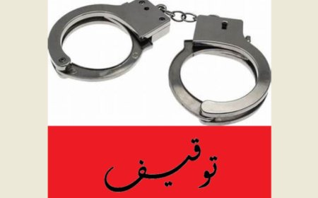 جمارك صيدا ضبطت أجهزة ليزر مهربة تستخدم في صيد العصافير وتوقيف سائق ال"فان"