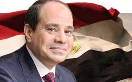 السيسي لماكرون: للمزيد من الضغط على اسرائيل لوقف انتهاكاتها