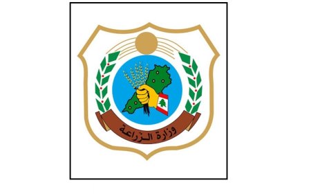 وزارة الزراعة تطمئن: الحمى القلاعية لا تنتقل إلى الإنسان