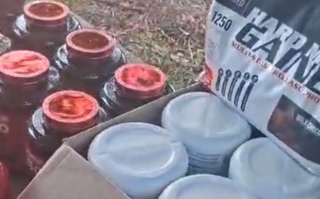 الجمارك تضبط متممات غذائية مهرّبة في مستودع في صيدا وتقتاد صاحبه إلى مركز شعبة المكافحة البرية