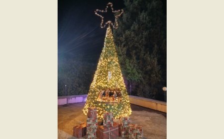 اضاءة شجرة الميلاد في شامات