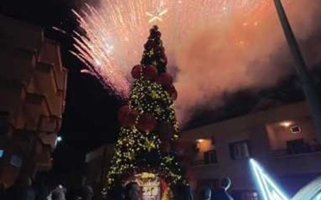 اضاءة شجرة الميلاد في جونية