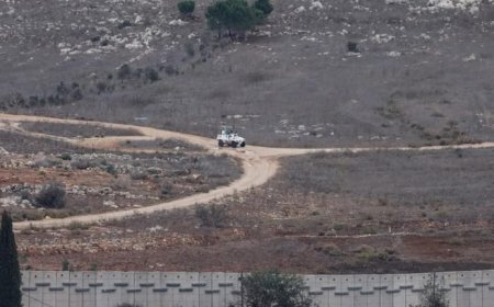 كيف تتحقق "الميكانيزم" من عملية حصر السلاح؟