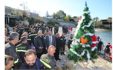 شجرة ميلاد في مغارة على شاطىء العقيبة