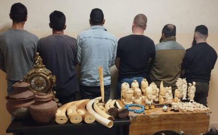 سرقوا تحف ومقتنيات أثرية من طرابلس.. والقوى الأمنية بالمرصاد