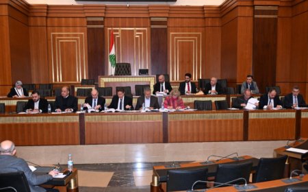 كنعان دعا الى تعزيز الهيئات الإنسانية : سنحاسب الحكومة لإبقائها على مؤسسات