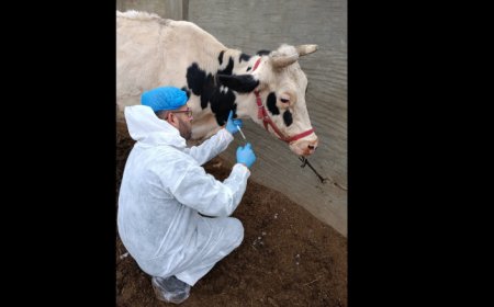 وزارة الزراعة تابعت إجراءات التقصّي الوبائي لمكافحة الحمّى القلاعية وأكّدت الاستجابة العلمية الشاملة