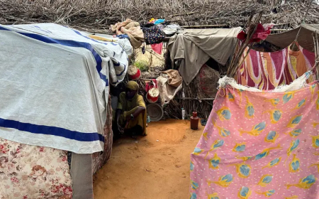 "الدعم السريع" متهمة بقتل مئة مدني في "زمزم"