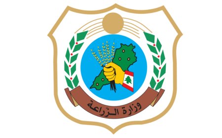 ماذا كشفت وزارة الزراعة عن باخرة الأبقار المصرية؟