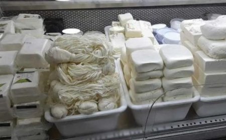 في رياق.. إقفال معمل للألبان والأجبان