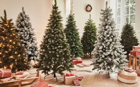 تحقيق قضائي بشأن فيديو يسيء لشجرة الميلاد