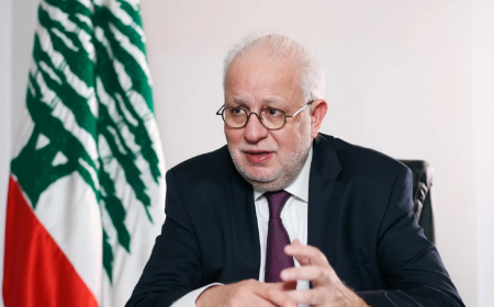 وزير العدل: الجيش اللبناني غير قادر على مواجهة اسرائيل والحل بالدبلوماسية