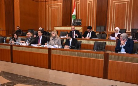 "لجنة المال" تقر موازانات هذه الوزارات