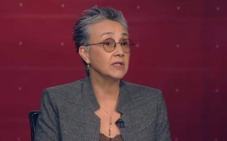 عون صليبا حذرت من قانون "استرداد الكلفة"