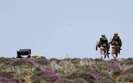 مقترح جديد لـ "سلاح الحزب".. ماذا يتضمن؟