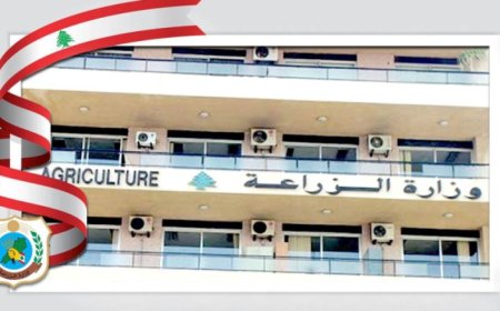 وزارة الزراعة وزعت تقريرها الاسبوعي رقم 2 حول إجراءات الاستجابة للحد من انتشار الحمى القلاعية في لبنان