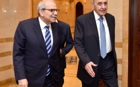 بري: مشروع الحكومة مرفوض