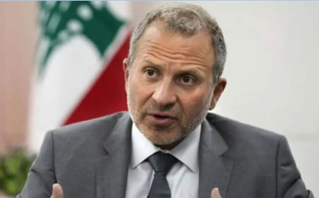 باسيل: الانتشار اللبناني طاقة وطنية استراتيجية وحماية حقوق المغتربين ضرورة لاستنهاض لبنان