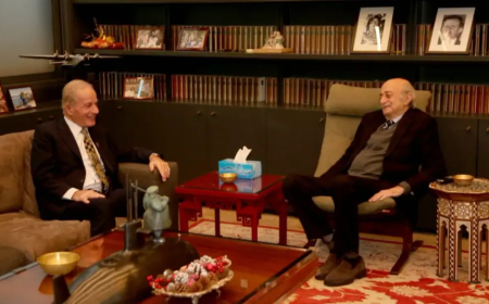 لقاء بين جنبلاط والسفير الأميركي عرض التحديات في لبنان