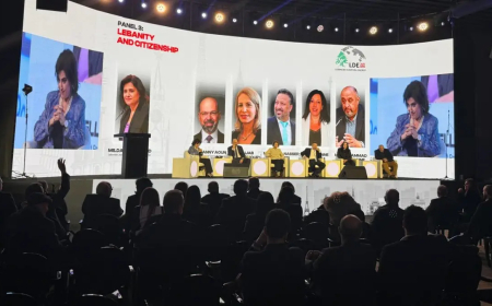 مؤتمر الطاقة الاغترابية اللبنانية LDE 2025 واصل جلساته في يومه الاول