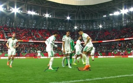 الجزائر وبوركينا فاسو الى دور الـ 16 في "امم أفريقيا"