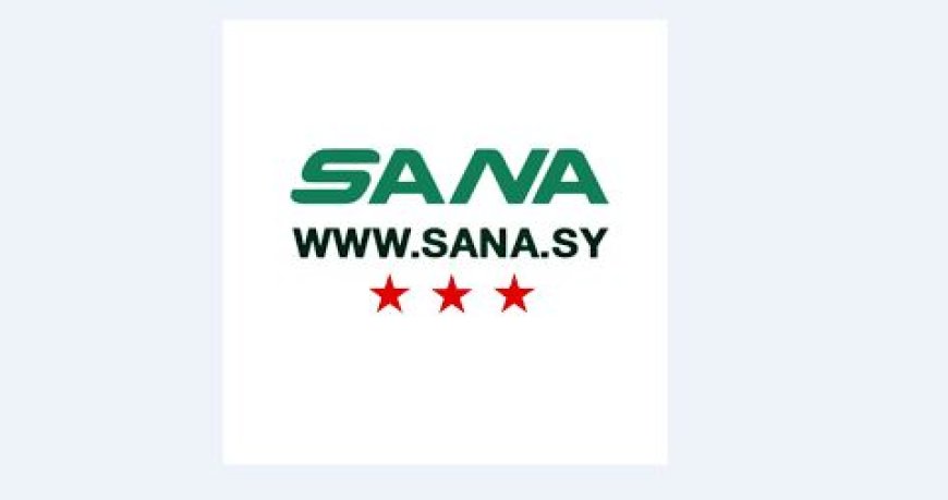 سانا: الشيباني استقبل السفير اللبناني الذي قدّم نسخة عن أوراق اعتماده تمهيداً لمباشرة مهامه