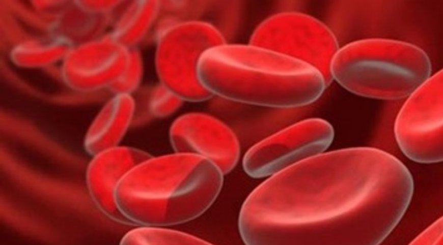 نقص الحديد في الجسم.. انه خطر كبير احذروه