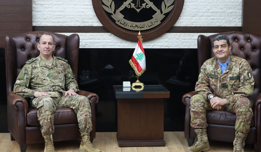 لقاء بين هيكل وأبانيارا عرض سبل التعاون بين الجيش و"اليونيفيل"