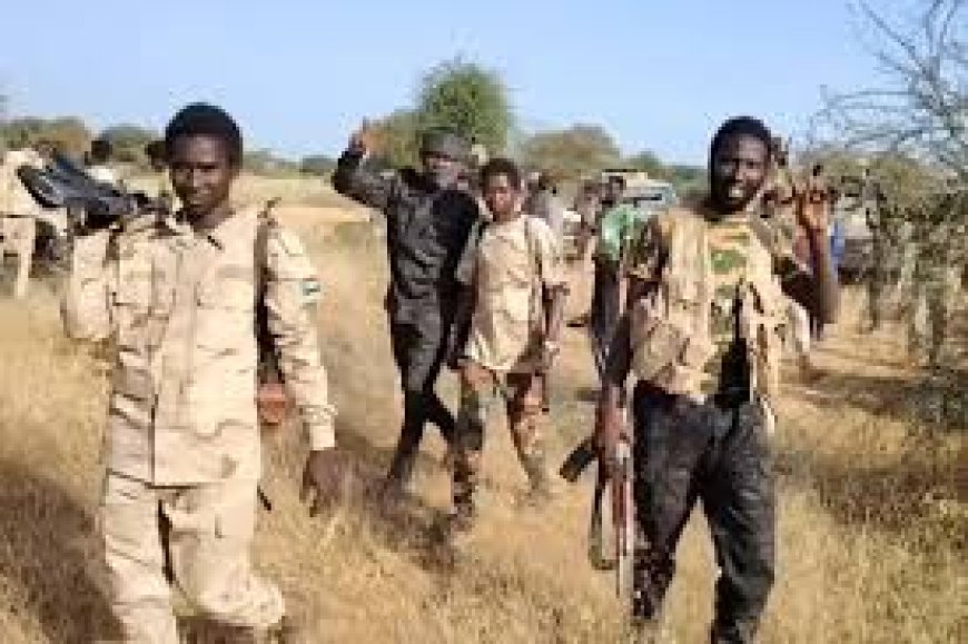 حقل نفطي حيوي تحت سيطرة "الدعم السريع"