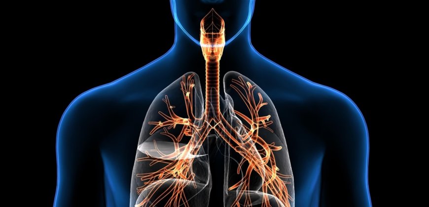 لتعزيز  وظائف الجهاز التنفسي.. هذا ما يجب فعله