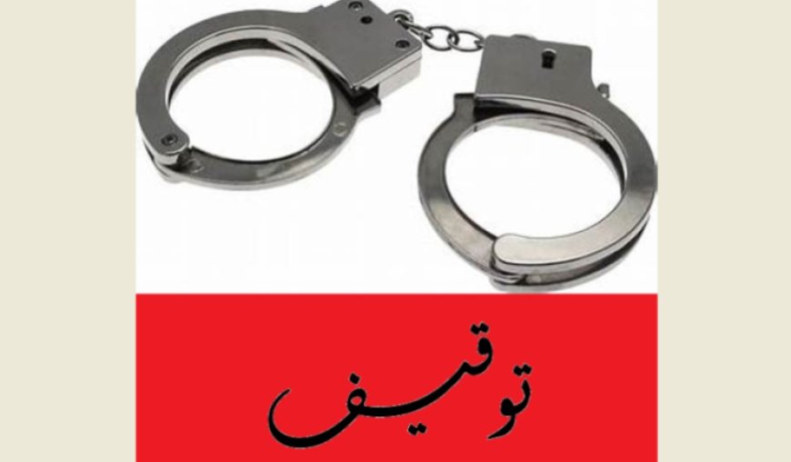 جمارك صيدا ضبطت أجهزة ليزر مهربة تستخدم في صيد العصافير وتوقيف سائق ال"فان"