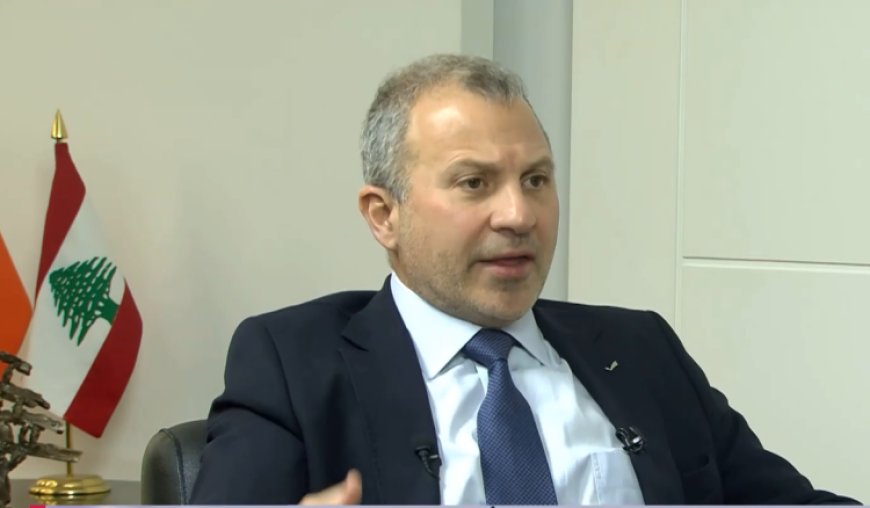 باسيل : نحن في لبنان وسوريا شعبان في دولتين وعلى الجميع التسليم بحماية الدولة على أن تكون فعلية