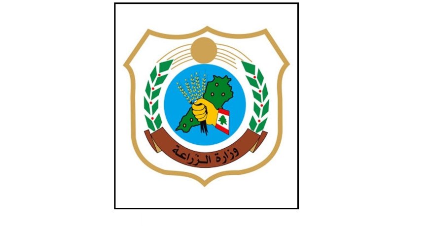 وزارة الزراعة تطمئن: الحمى القلاعية لا تنتقل إلى الإنسان