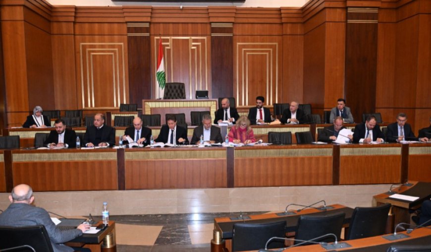 كنعان دعا الى تعزيز الهيئات الإنسانية : سنحاسب الحكومة لإبقائها على مؤسسات