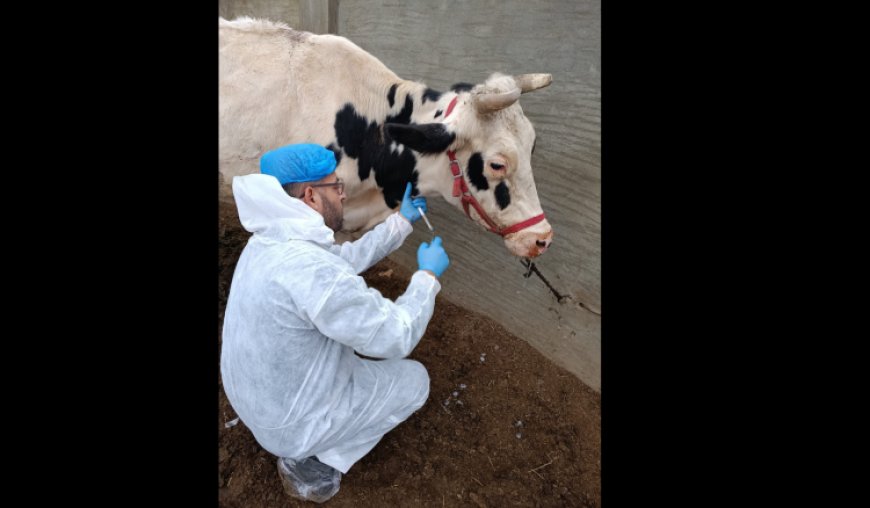 وزارة الزراعة تابعت إجراءات التقصّي الوبائي لمكافحة الحمّى القلاعية وأكّدت الاستجابة العلمية الشاملة