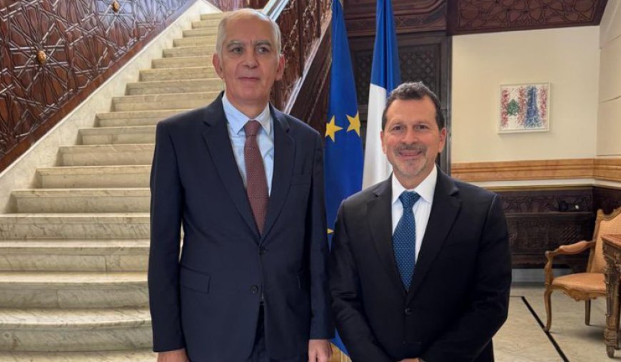 شحادة لبى دعوة ماغرو إلى مأدبة غداء وبحث في مشاريع الوزارة وإمكان التعاون