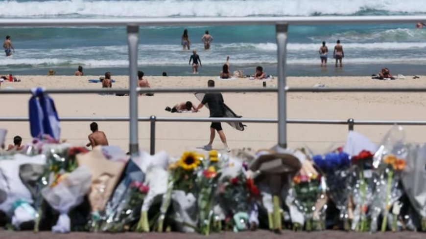 ما جديد التحقيقات في "هجوم بوندي"؟