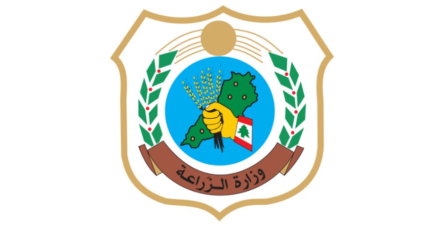 ماذا كشفت وزارة الزراعة عن باخرة الأبقار المصرية؟