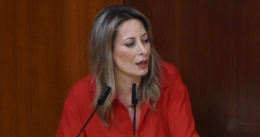 أيوب تشارك في افتتاح "قرية صيدا الميلادية"