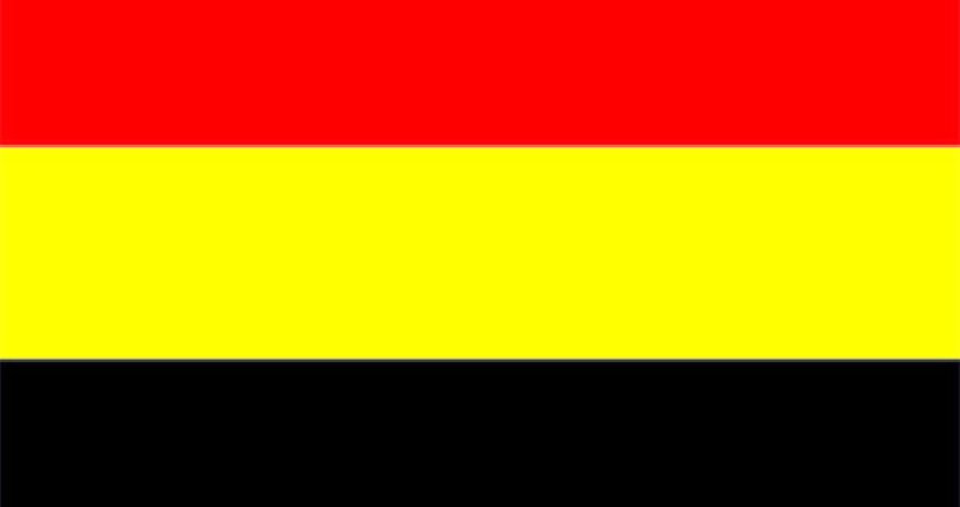 بلجيكا تنضم إلى دعوى جنوب إفريقيا ضد إسرائيل لدى محكمة العدل الدولية