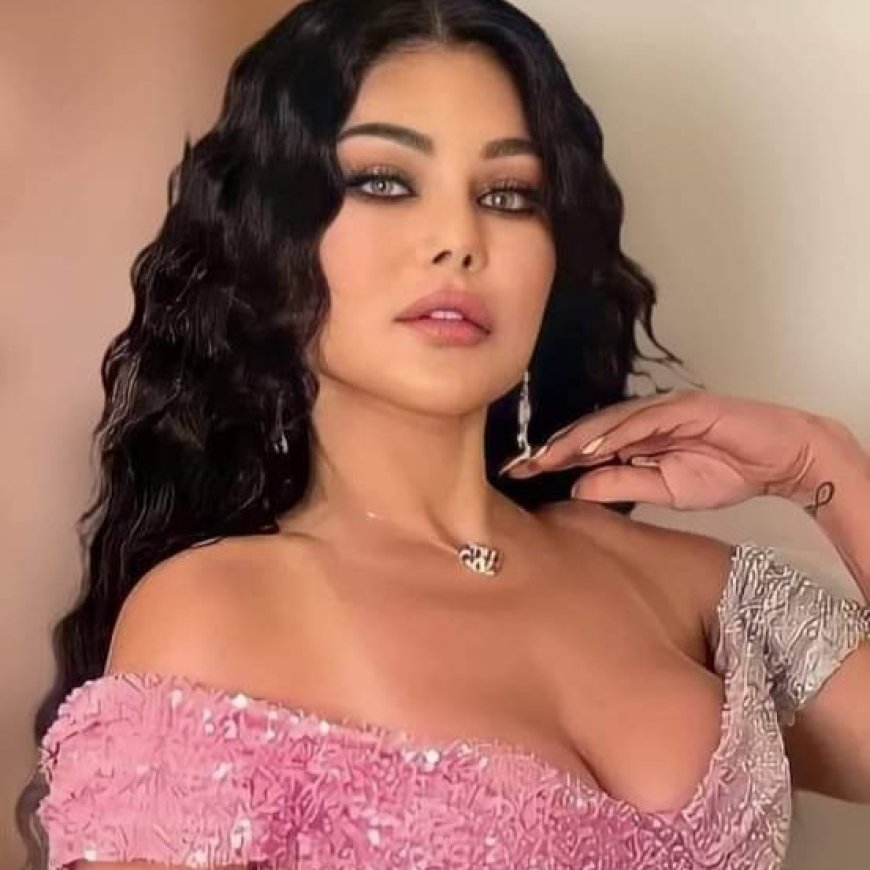 بالتفاصيل هيفاء وهبي تختتم عامها بمعركة قانونية  و ابتزاز الكتروني!