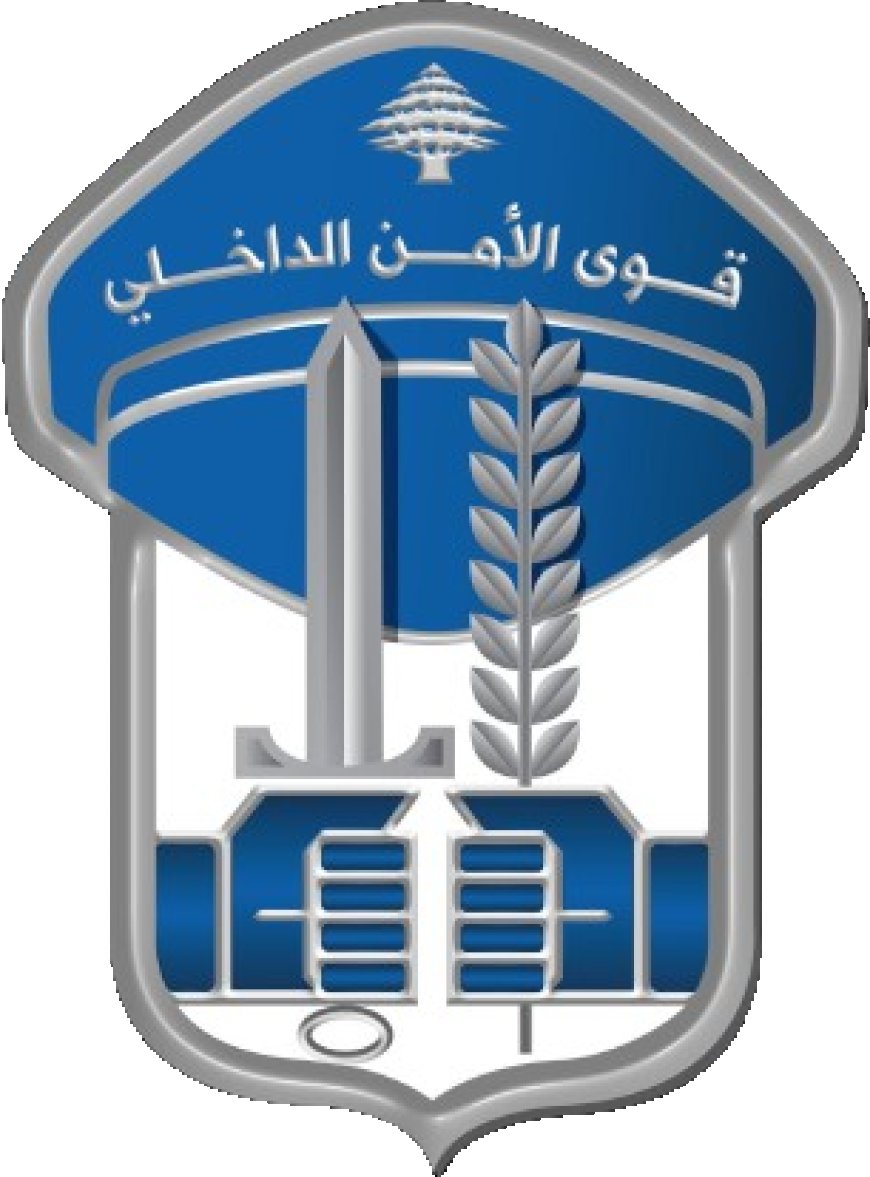 قوى امن: ‏مطلوبان للقضاء بجرائم سرقة ونصب واحتيال في قبضة مفرزة استقصاء البقاع