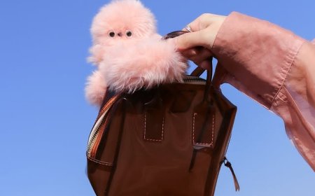 Mirumi… الإكسسوار الذي ينظر إليك ويبتسم !