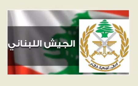 الجيش: توقيف شخص خلال عمليات دهم في عرسال والهرمل وآخر في التبانة لإطلاقه النار على مواطن