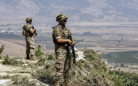 مقررات مجلس الوزراء: خطة الجيش لشمال الليطاني قيد الإعداد