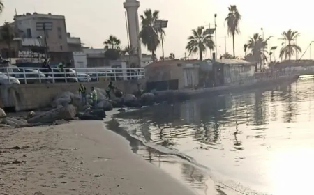 بلدية صيدا تابعت خطة لجنة البيئة وحملة تنظيف مرفأ الصيادين ومحيط القلعة البحرية